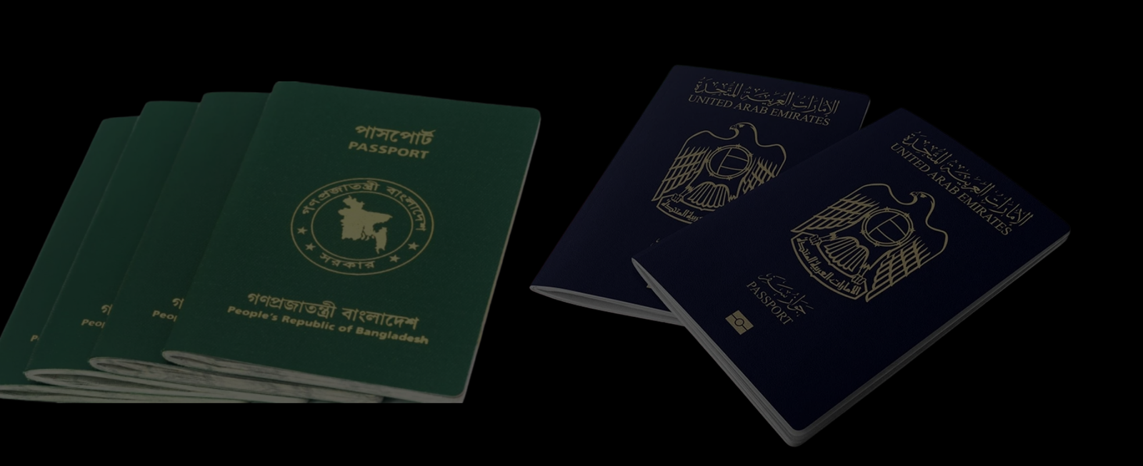 documents writing services in UAE documents writing services in UAE
