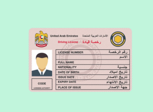 Driving License